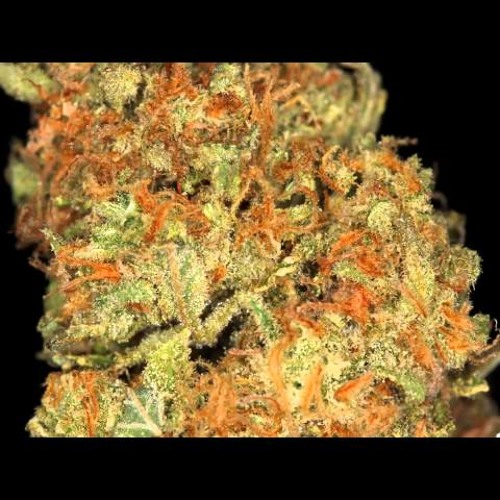 Zyce - THC