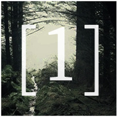 Picture Frame Eternity (snippet)