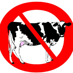 BPM Bullyz - No Beef Bootleg [FND]