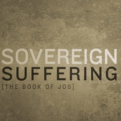 Job 20-23 (Two Friends Speak Out; Job’s Desire to Appear Before God)
