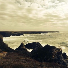 beautiful rant - mashup - (martin Spriet remix)