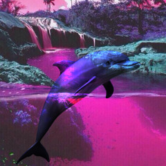 WAKE UP - purple dolphin (Instrumental)