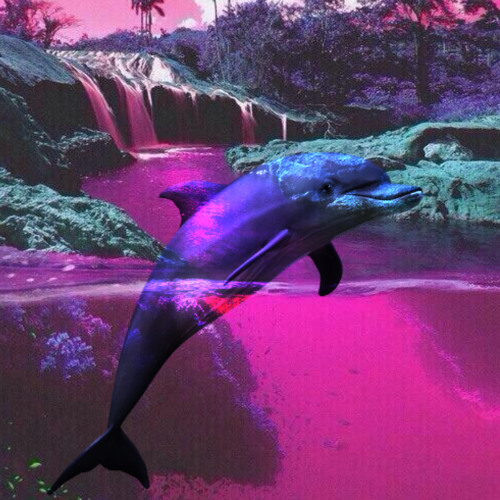 WAKE UP - purple dolphin (Instrumental)