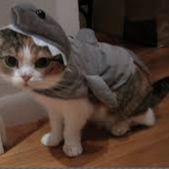 (AKAxthesecondwall) Transition @Beatcamp