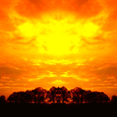 Shogun - Skyfire (Skywex Bootleg) (Noob Cut)