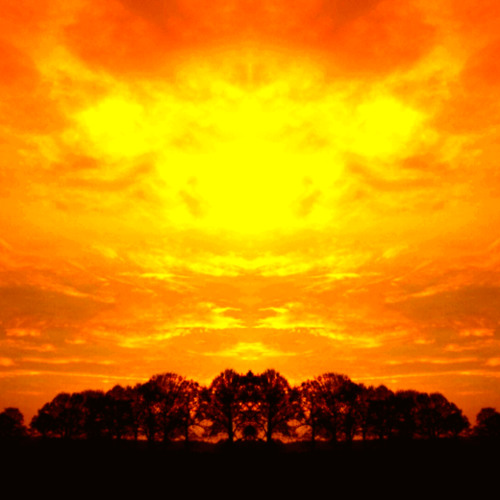 Shogun - Skyfire (Skywex Bootleg) (Noob Cut)