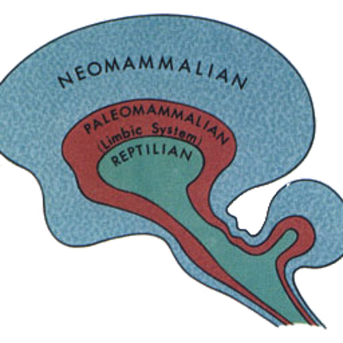 ReptileBrainn (with Nick Stanifer)