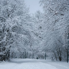 In the Bleak Midwinter