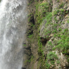 ~ George Shominov ~ - Relaxing Music With Birds & River Sounds ( 2 Hours Zen ) -