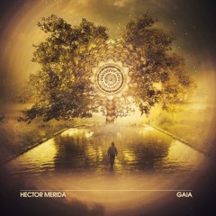 Hector Merida - Organic (Original Mix)