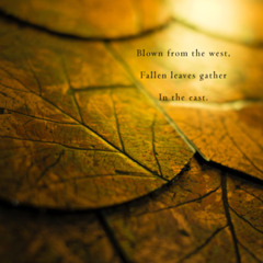 Leaves (Naviarhaiku046 - Blown from the west)