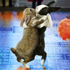 Hip Swing Hop