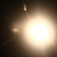 To Be Surprised (Sondre Lerche Cover)