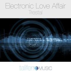 Electronic Love Affair