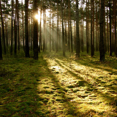 Reminiscence piano improvisation /for uncompressed 96kHz sound check download/