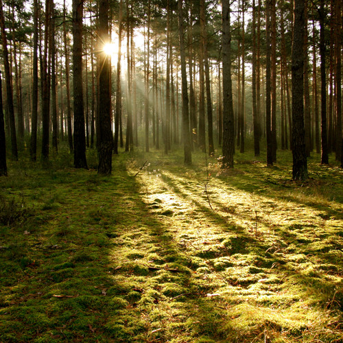 Reminiscence piano improvisation /for uncompressed 96kHz sound check download/