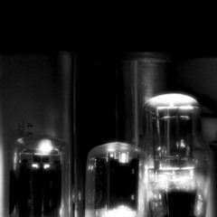 Don Haugen - Death of the King (out of print)