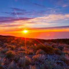 Regalo dia del musico a Medellin