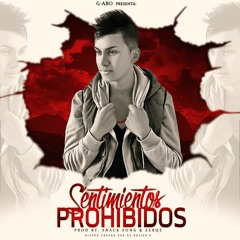 Sentimientos Prohibidos - G-Abo (Prod By. SnackSong)