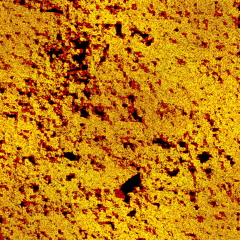 Aliens Have Landed - C.T.U and CIAN