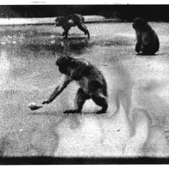 MindFluxFuneral - UnReleased - To Live In Fear