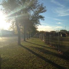 Hanging Tree (Mocking Jay Part 1)