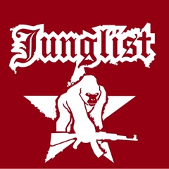 45Thieves Get A Bullet