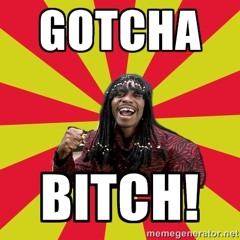 Gotcha Bitch