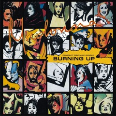 Burning Up (Dubtronic 12  Extended Version)