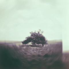 Mister Rain
