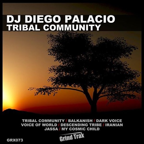 DJ Diego Palacio - Descending Tribe (Original Mix)