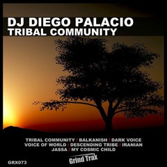 DJ Diego Palacio - Iranian (Original Mix)