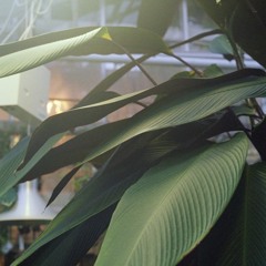 Nothing Can Save You