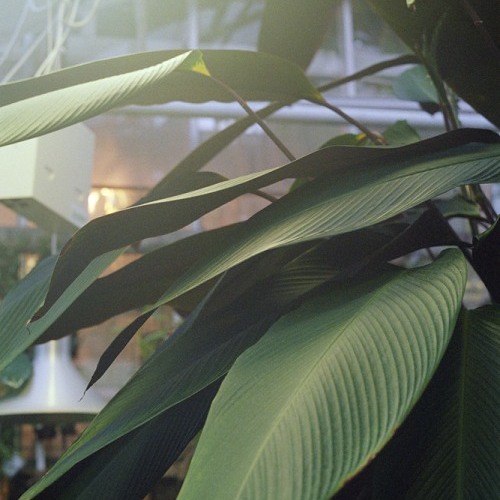 Nothing Can Save You