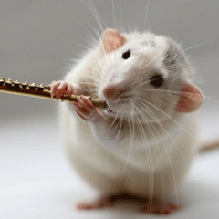 Rats Crú 2010 (EspoClika ft. IELE)