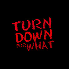 Dj Snake vs Upon A Burning Body - Turn Down For What (NIGHTBIRD Remix)