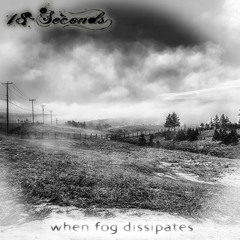 Another Trip Around The Sun