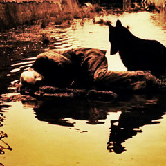 The Osirian Mystery - Stalkir