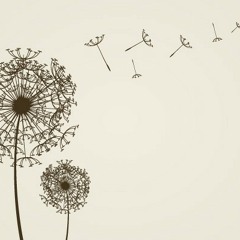 Stiker Dandelion