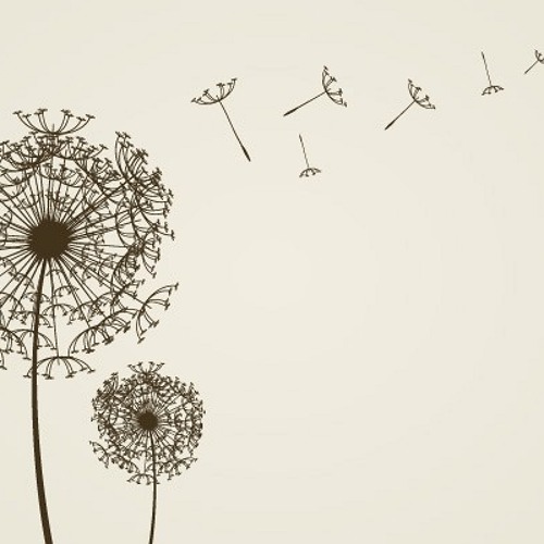 Stiker Dandelion