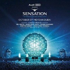 Martin_Garrix_-_Live_at_Sensation_Source_of_Light_Dubai_31-10-2014.mp3