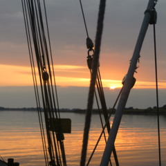 Drink Up Me Hearties (electric Violin Cover)