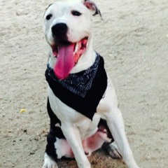 Naufragio - Natos y Waor