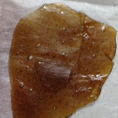 TMD - Money Bags (rough draft)