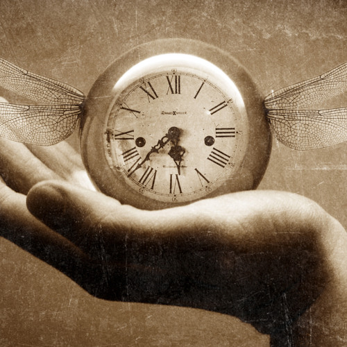 Lost In Time