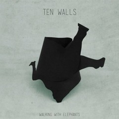 Ten Walls - Walking With Elephants (Original Mix)432 Hz