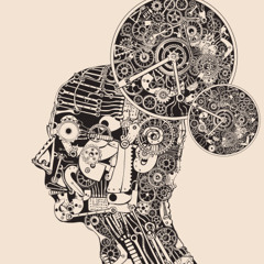 2014 UNDERSAN-ARLEKIN-NOKMAN-SKINET