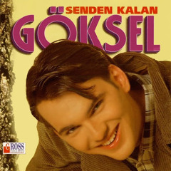 GÖKSEL GÖNÜLLÜ YAZILDIM