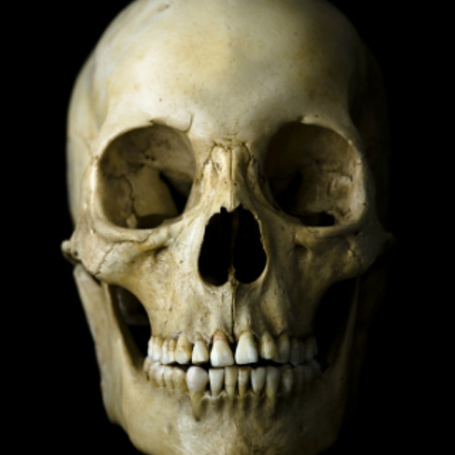 Danse Macabre