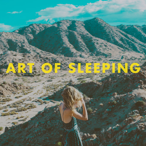 Art of Sleeping - Crazy